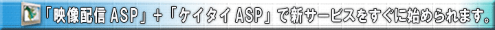 �f���z�MASP+�P�C�^�CASP�Ńv�����[�V������}�[�P�e�B���O���x�����A�b�v