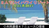 IP_News���p��-���s�㗝�X���i�ē�