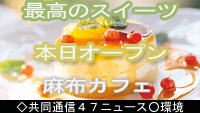 IP_News���p��-�J�t�F�I�[�v���ē�