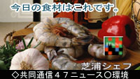 �j���[�X�z�M+�J���[ �R�[�h�@�T���v���@���X�g�����̐H�ޏЉ�